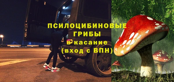 mdpv Ладушкин