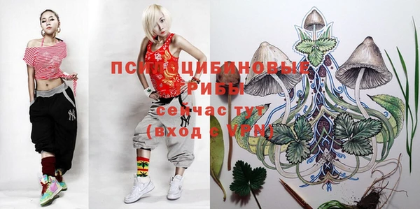 мескалин Лабытнанги